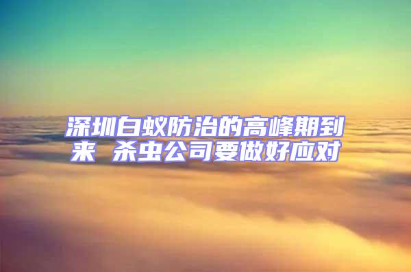 深圳白蟻防治的高峰期到來 殺蟲公司要做好應(yīng)對(duì)