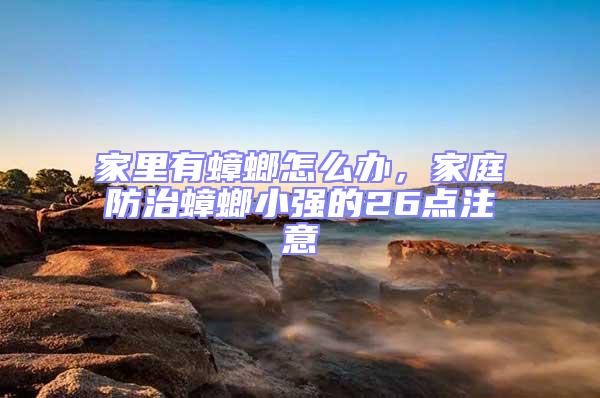 家里有蟑螂怎么辦，家庭防治蟑螂小強的26點注意