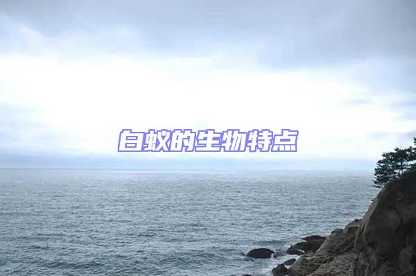 白蟻的生物特點