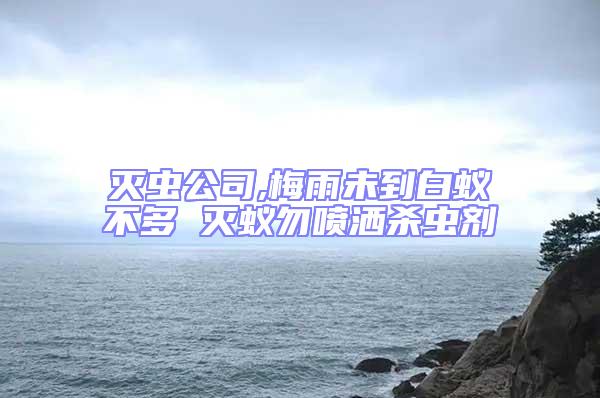 滅蟲公司,梅雨未到白蟻不多 滅蟻勿噴灑殺蟲劑