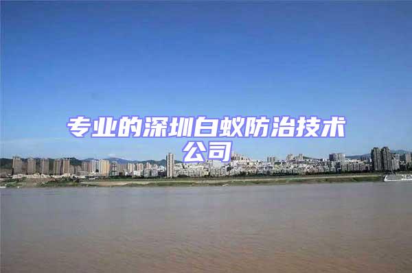 專業的深圳白蟻防治技術公司