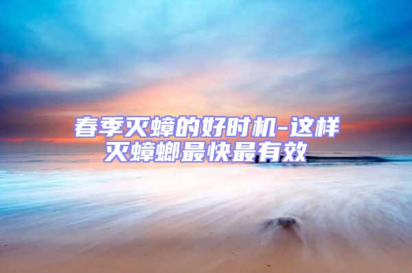 春季滅蟑的好時機-這樣滅蟑螂最快最有效