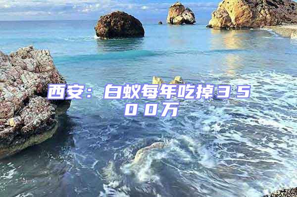 西安：白蟻每年吃掉３５００萬
