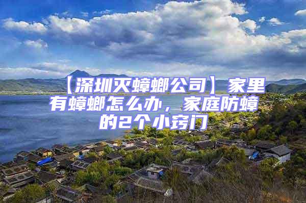 【深圳滅蟑螂公司】家里有蟑螂怎么辦，家庭防蟑的2個小竅門
