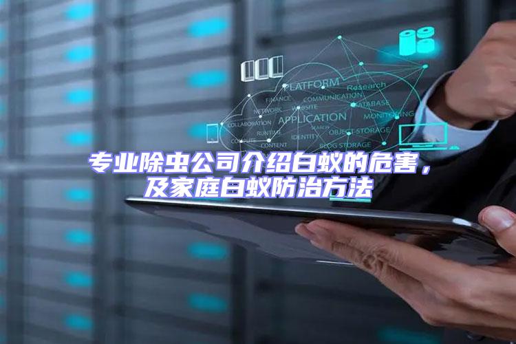 專業除蟲公司介紹白蟻的危害，及家庭白蟻防治方法
