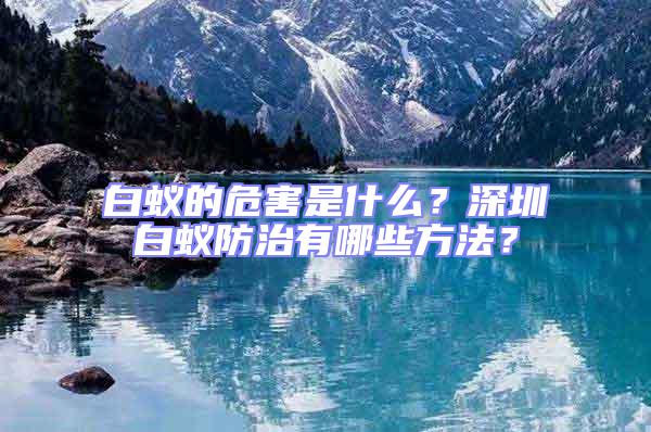 白蟻的危害是什么？深圳白蟻防治有哪些方法？