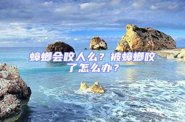 蟑螂會咬人么？被蟑螂咬了怎么辦？