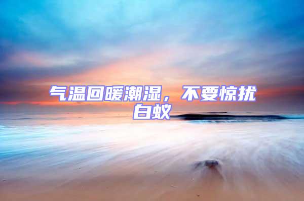 氣溫回暖潮濕，不要驚擾白蟻
