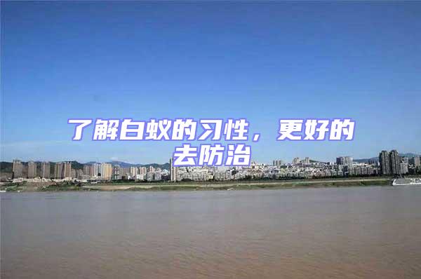 了解白蟻的習性，更好的去防治
