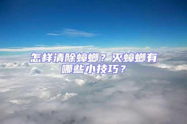 怎樣清除蟑螂？滅蟑螂有哪些小技巧？