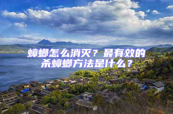 蟑螂怎么消滅？最有效的殺蟑螂方法是什么？