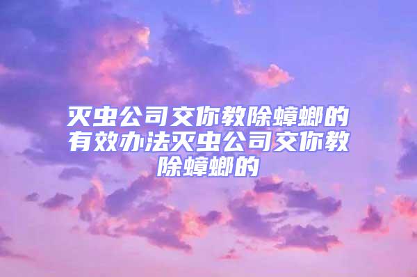 滅蟲公司交你教除蟑螂的有效辦法滅蟲公司交你教除蟑螂的