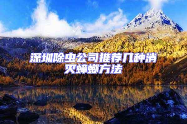 深圳除蟲公司推薦幾種消滅蟑螂方法