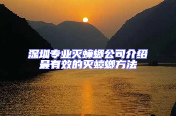 深圳專業滅蟑螂公司介紹最有效的滅蟑螂方法