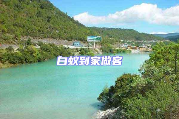 白蟻到家做客