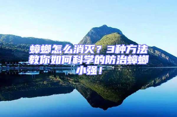 蟑螂怎么消滅？3種方法教你如何科學的防治蟑螂小強！