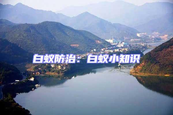 白蟻防治：白蟻小知識