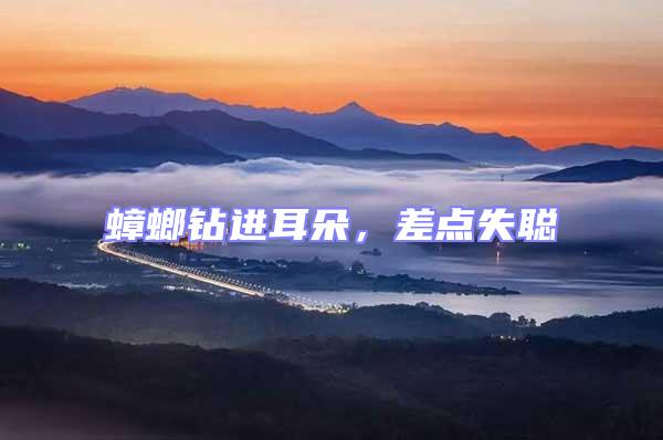 蟑螂鉆進耳朵，差點失聰