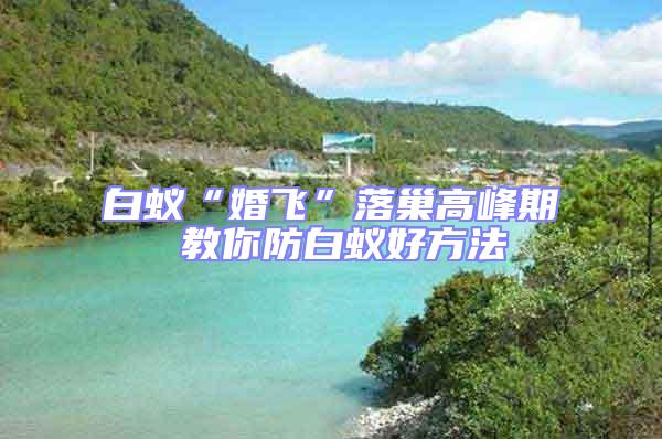 白蟻“婚飛”落巢高峰期 教你防白蟻好方法