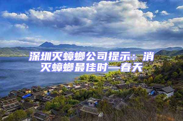 深圳滅蟑螂公司提示：消滅蟑螂最佳時—春天