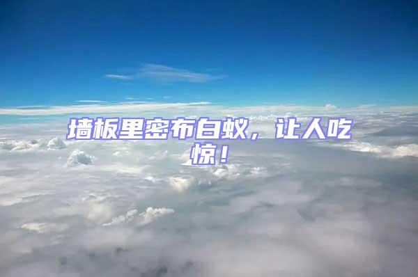 墻板里密布白蟻，讓人吃驚！
