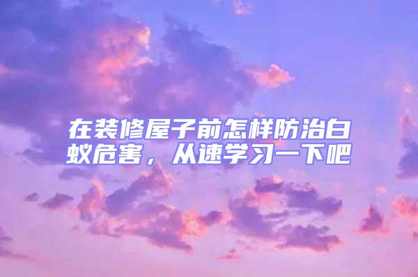 在裝修屋子前怎樣防治白蟻危害，從速學習一下吧