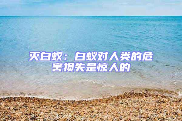 滅白蟻：白蟻對人類的危害損失是驚人的