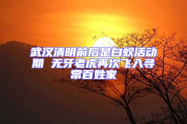 武漢清明前后是白蟻活動期 無牙老虎再次飛入尋常百姓家