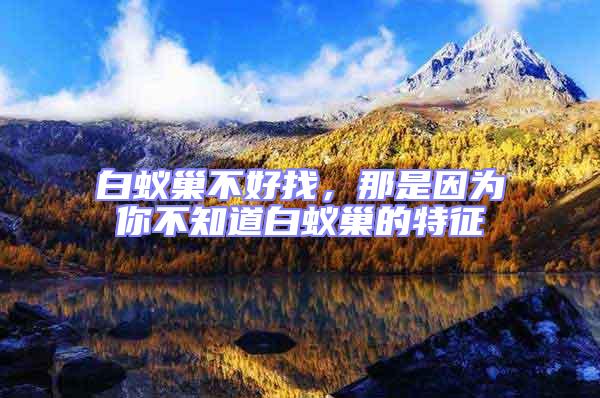 白蟻巢不好找，那是因為你不知道白蟻巢的特征