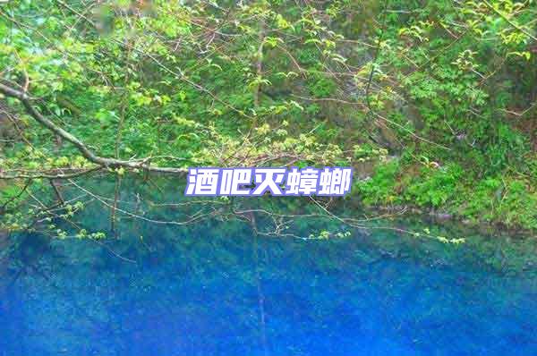酒吧滅蟑螂