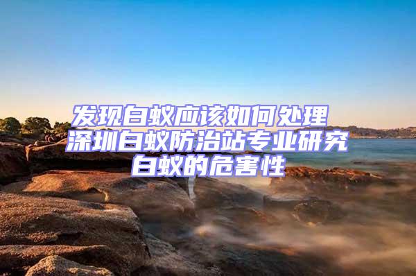 發(fā)現(xiàn)白蟻應(yīng)該如何處理 深圳白蟻防治站專業(yè)研究白蟻的危害性