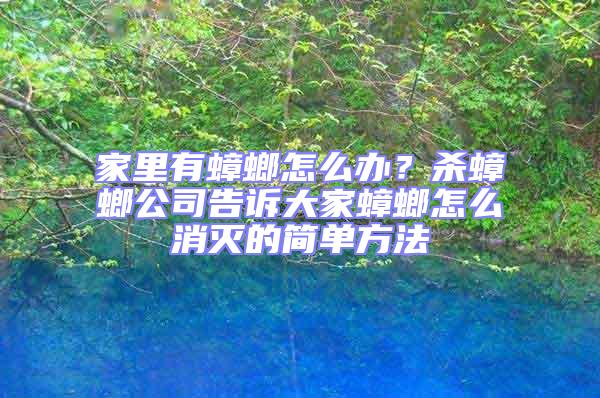 家里有蟑螂怎么辦？殺蟑螂公司告訴大家蟑螂怎么消滅的簡單方法