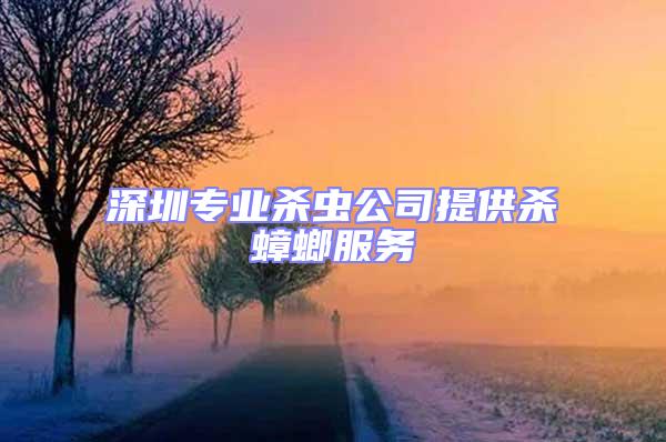 深圳專業殺蟲公司提供殺蟑螂服務