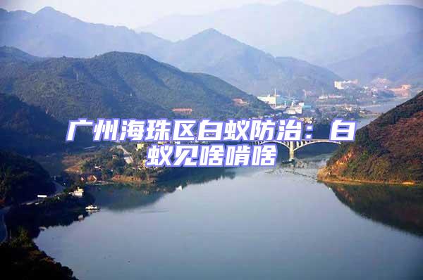廣州海珠區白蟻防治：白蟻見啥啃啥