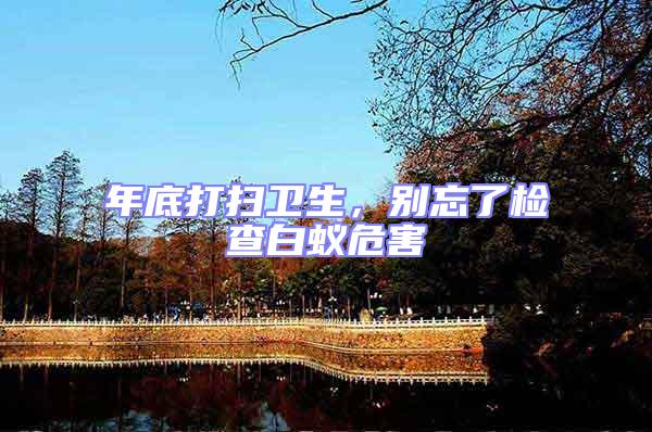 年底打掃衛(wèi)生，別忘了檢查白蟻危害