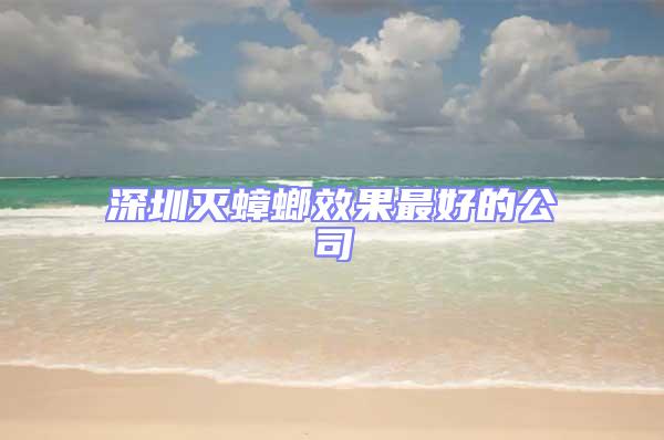 深圳滅蟑螂效果最好的公司