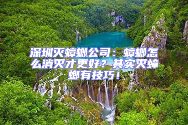 深圳滅蟑螂公司：蟑螂怎么消滅才更好？其實滅蟑螂有技巧！