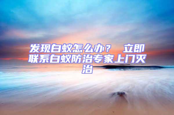 發(fā)現(xiàn)白蟻怎么辦？ 立即聯(lián)系白蟻防治專(zhuān)家上門(mén)滅治
