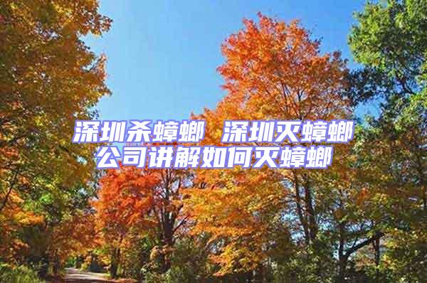 深圳殺蟑螂 深圳滅蟑螂公司講解如何滅蟑螂