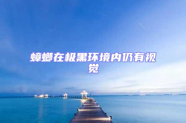 蟑螂在極黑環(huán)境內(nèi)仍有視覺