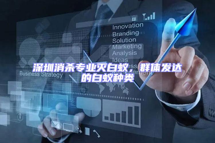 深圳消殺專業滅白蟻，群體發達的白蟻種類