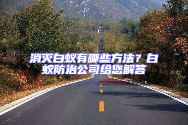 消滅白蟻有哪些方法？白蟻防治公司給您解答