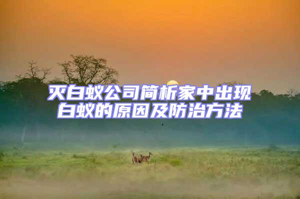 滅白蟻公司簡析家中出現白蟻的原因及防治方法