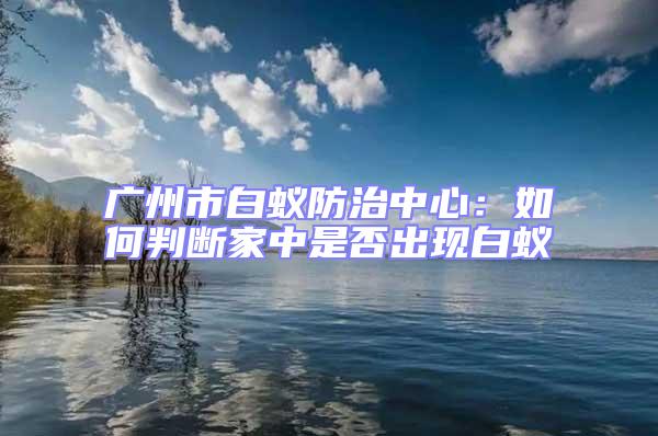 廣州市白蟻防治中心：如何判斷家中是否出現白蟻