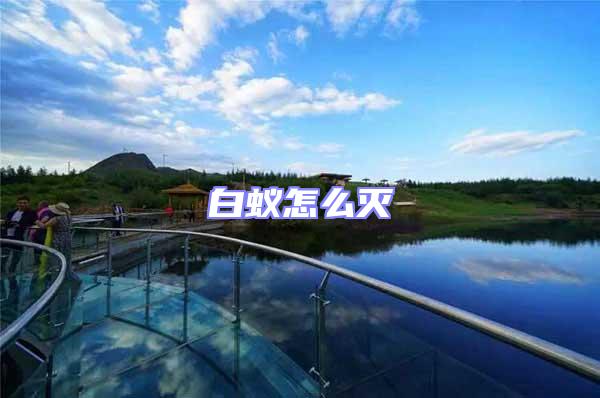 白蟻怎么滅