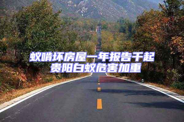蟻啃壞房屋一年報告千起 貴陽白蟻危害加重