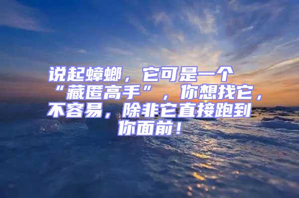 說起蟑螂，它可是一個“藏匿高手”，你想找它，不容易，除非它直接跑到你面前！