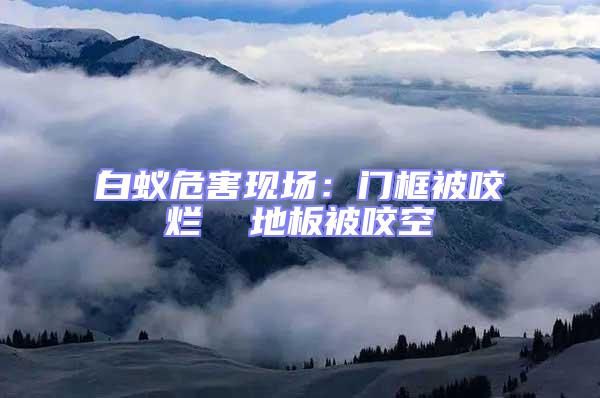 白蟻危害現(xiàn)場：門框被咬爛  地板被咬空
