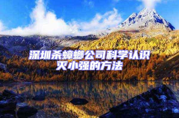 深圳殺蟑螂公司科學(xué)認(rèn)識滅小強的方法