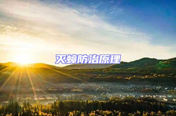 滅蟑防治原理